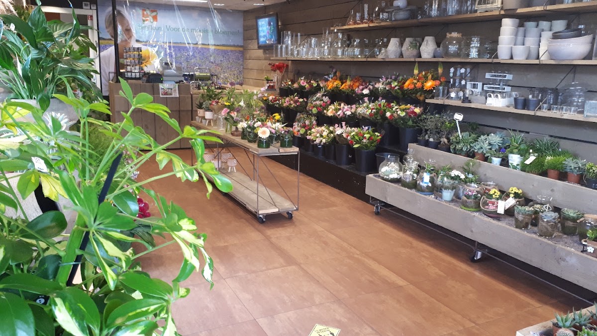 Foto van BenFleuri in Hoogeveen