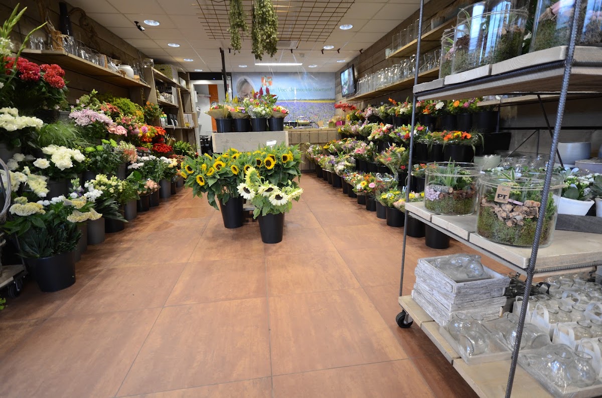 Foto van BenFleuri in Hoogeveen