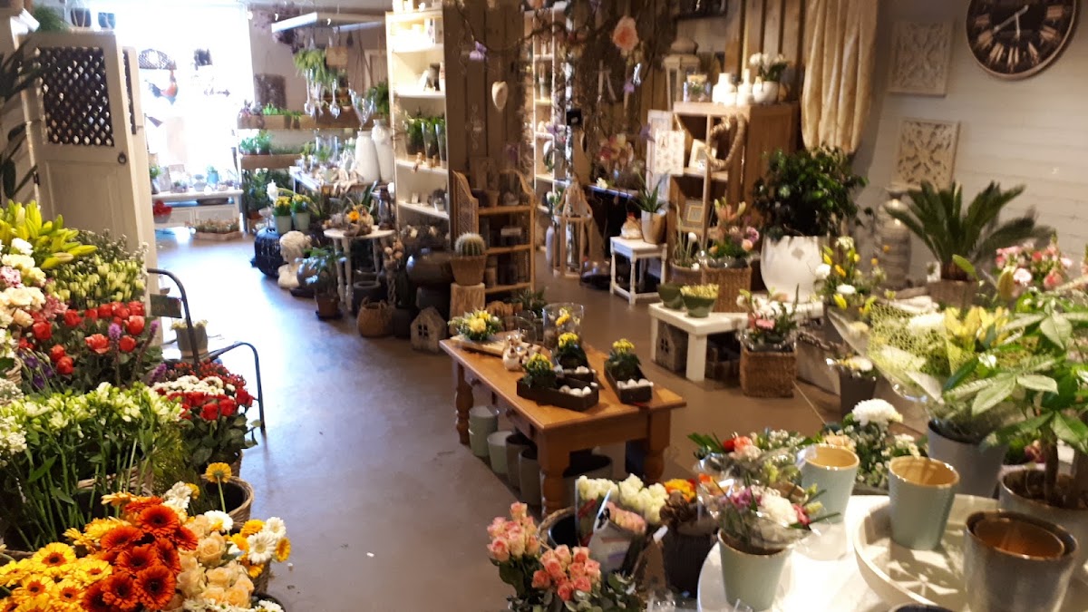 Foto van Bloemen & Kadoshop Het Miniatuurtje in Noordscheschut