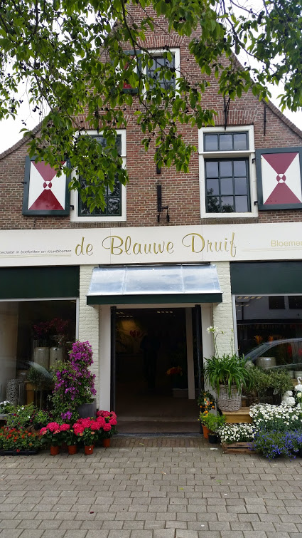 Foto van De Blauwe Druif in Wanneperveen