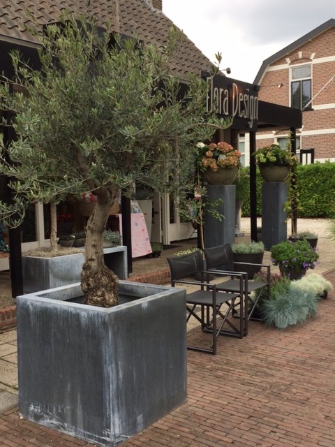 Foto van Flora Design in Apeldoorn