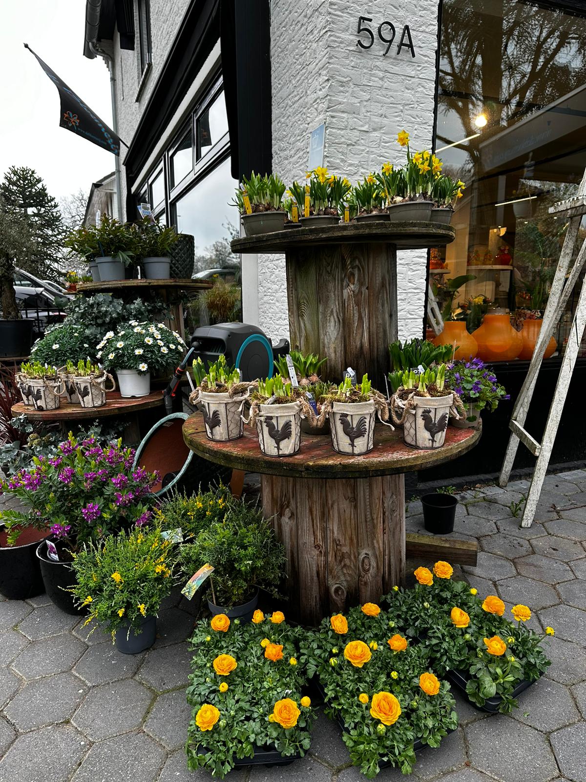 Foto van De Bloemerij in Havelte