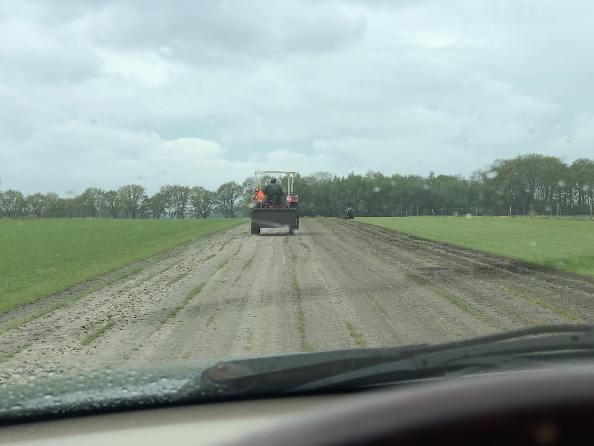 Graszoden kwekerij G. de Jonge