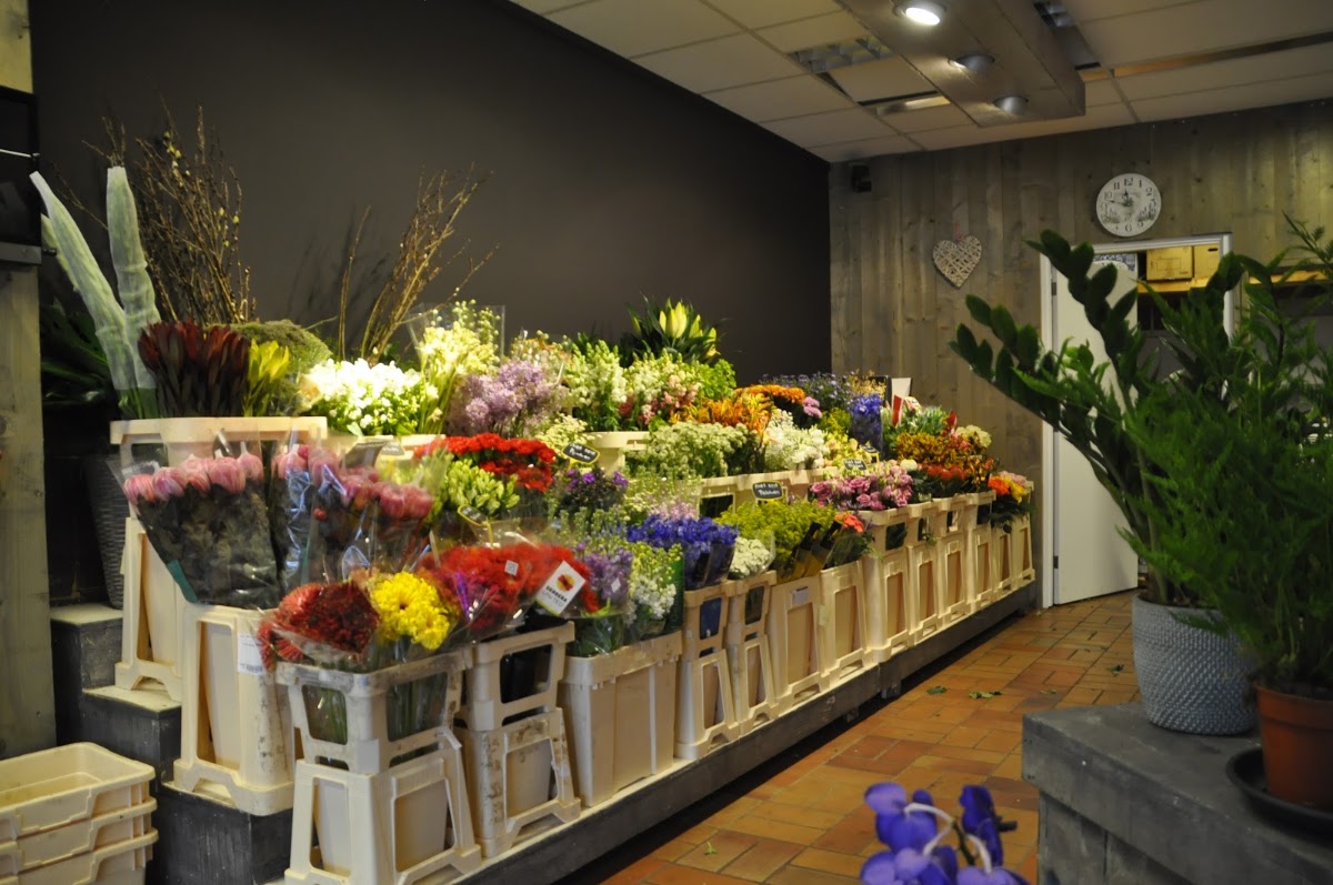 Foto van Bloemen in het Gooi Almere in Almere