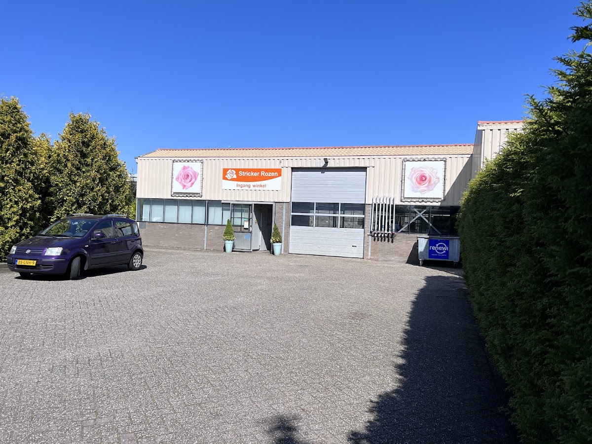 Foto van Stricker Rozen Almere in Almere