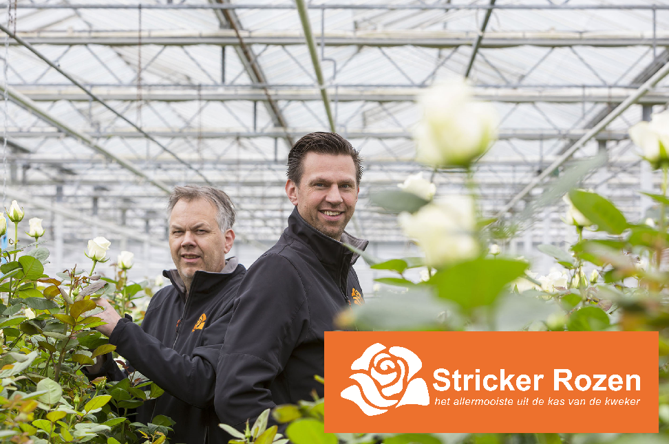 Foto van Stricker Rozen Almere in Almere