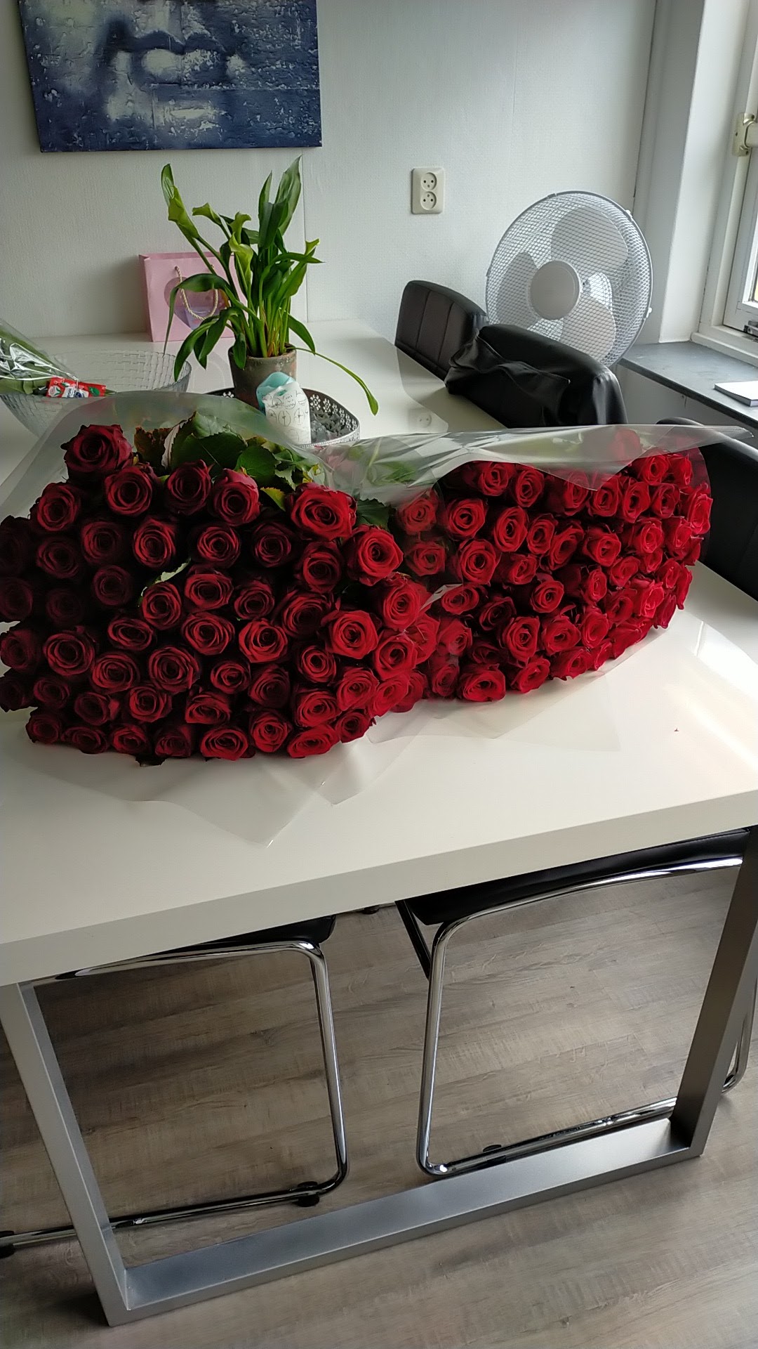 Foto van Stricker Rozen Almere in Almere