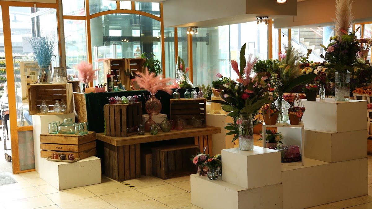 Foto van GEVE Bloemen & Planten in Almere