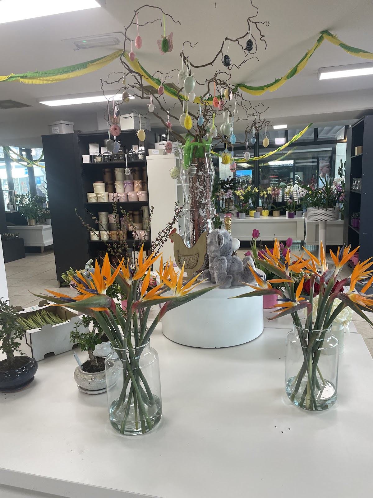 Foto van GEVE Bloemen & Planten in Almere