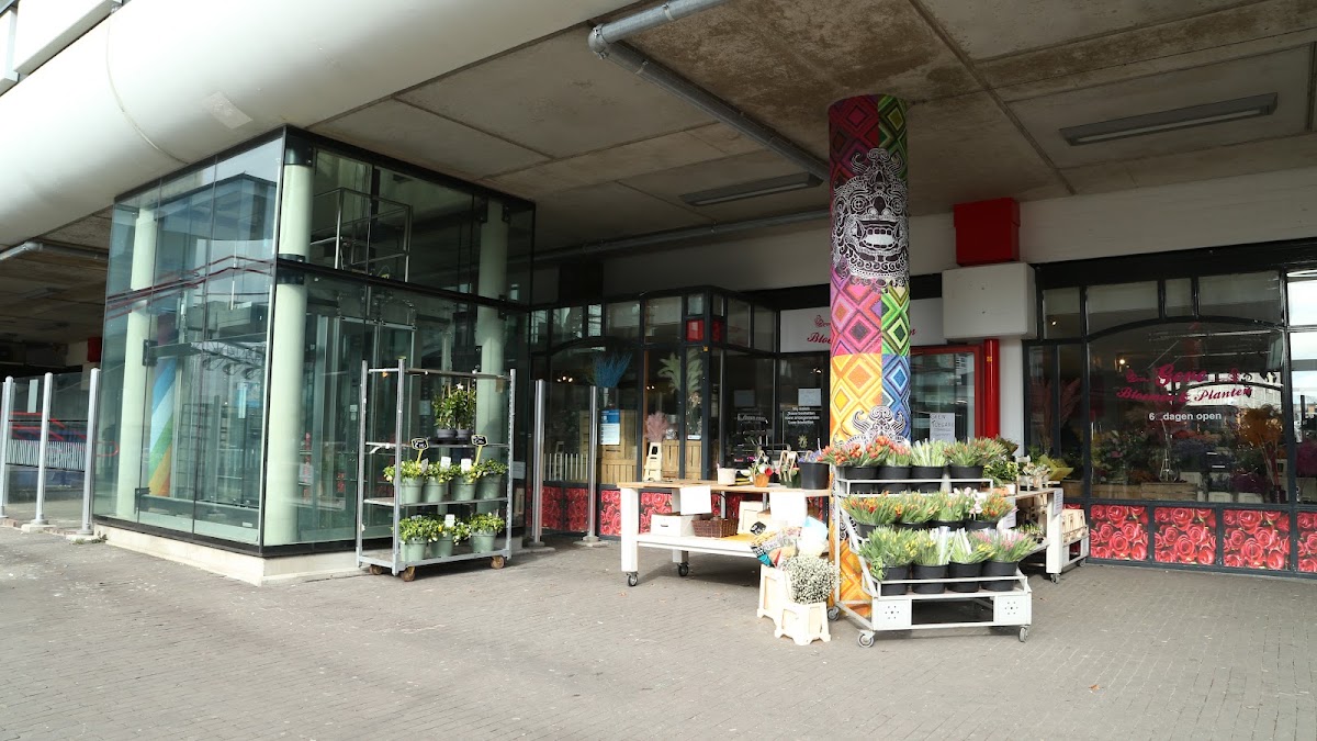 Foto van GEVE Bloemen & Planten in Almere