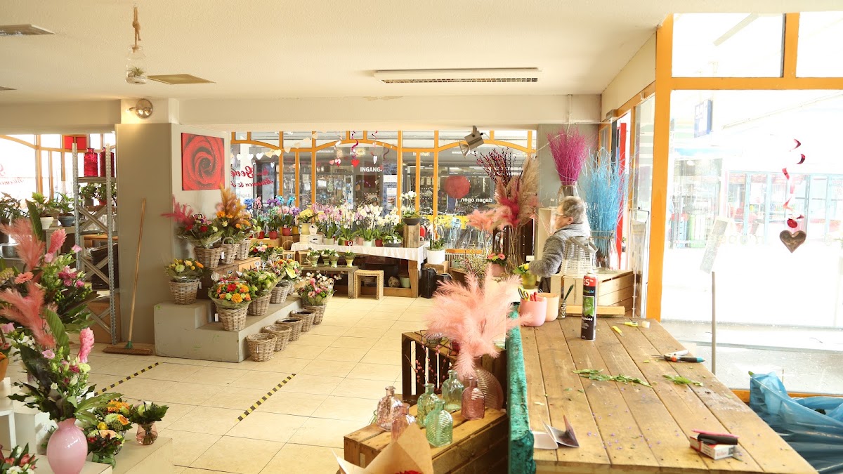 Foto van GEVE Bloemen & Planten in Almere