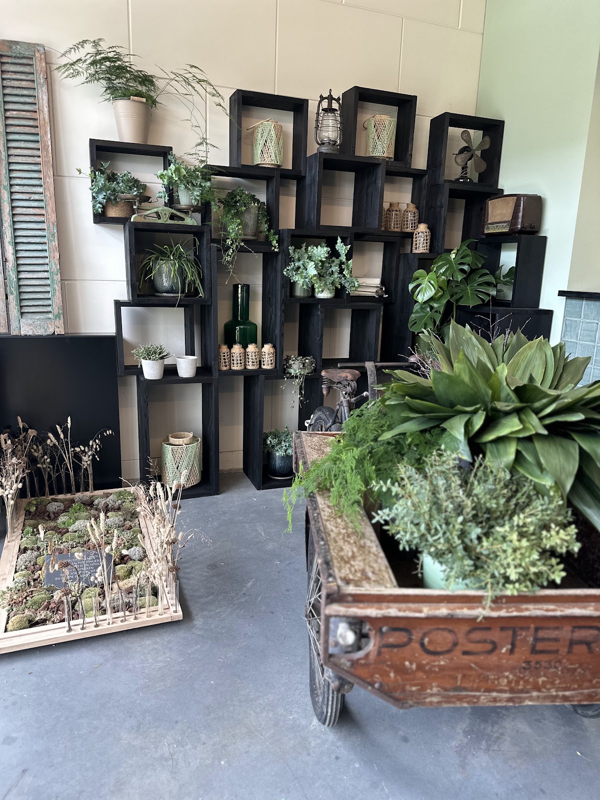Foto van Bloeiend Dronten Atelier Bloeiend in Dronten