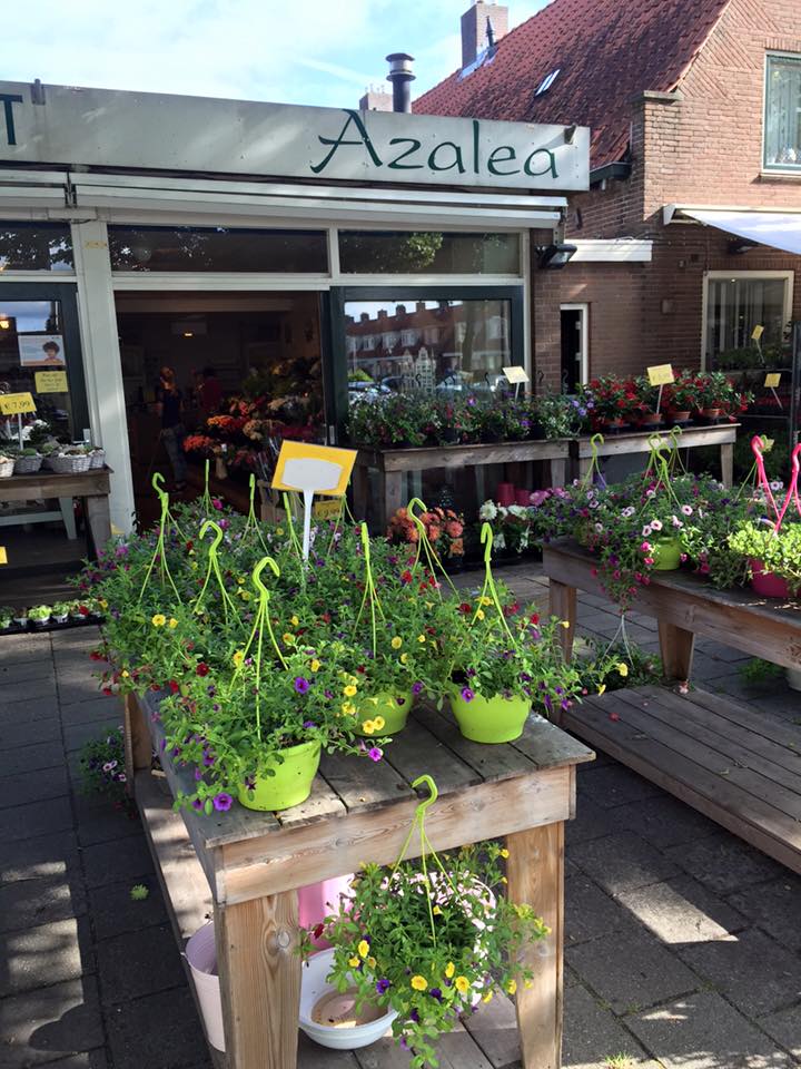 Foto van Bloemsierkunst Azalea in Emmeloord