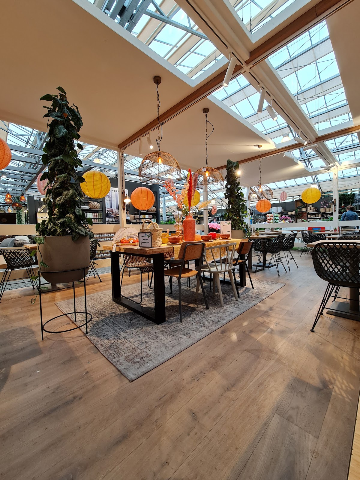 Foto van Intratuin Apeldoorn in Apeldoorn