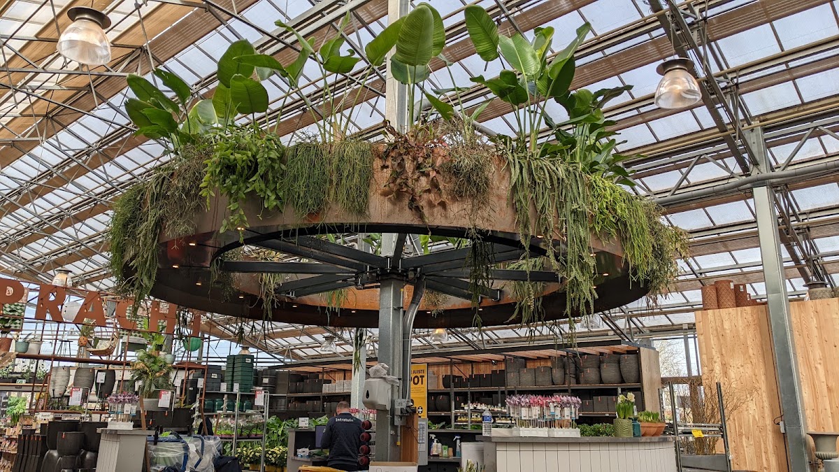 Foto van Intratuin Apeldoorn in Apeldoorn