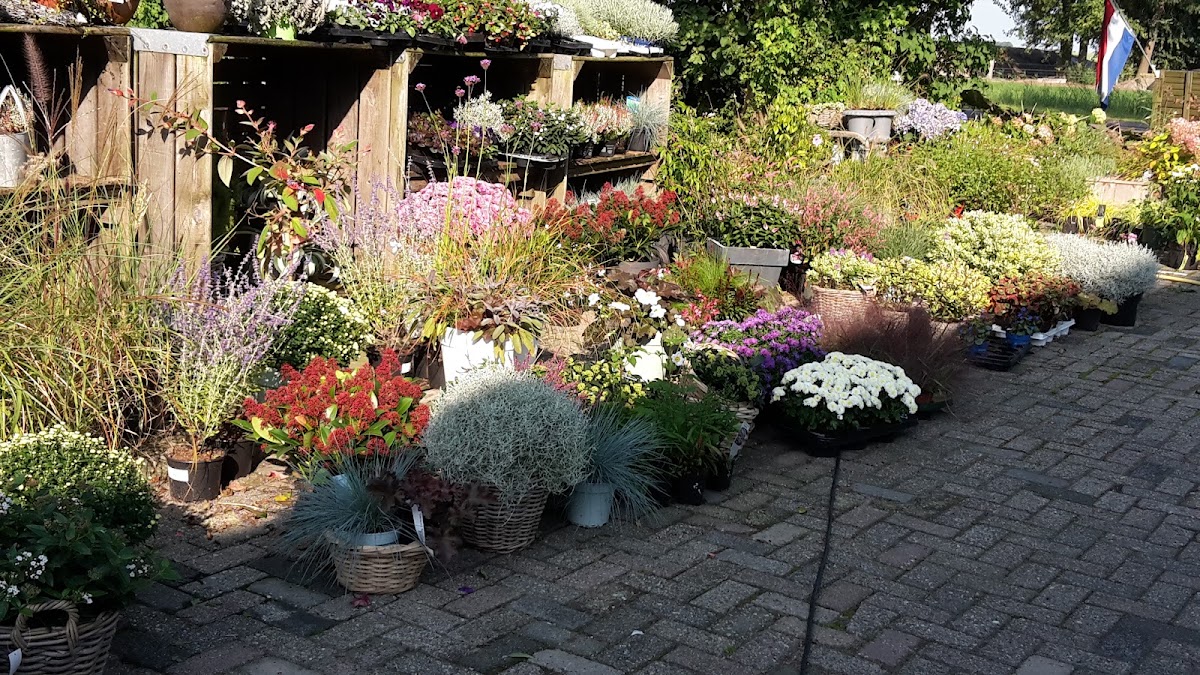 BloemenC Bloemboerderij