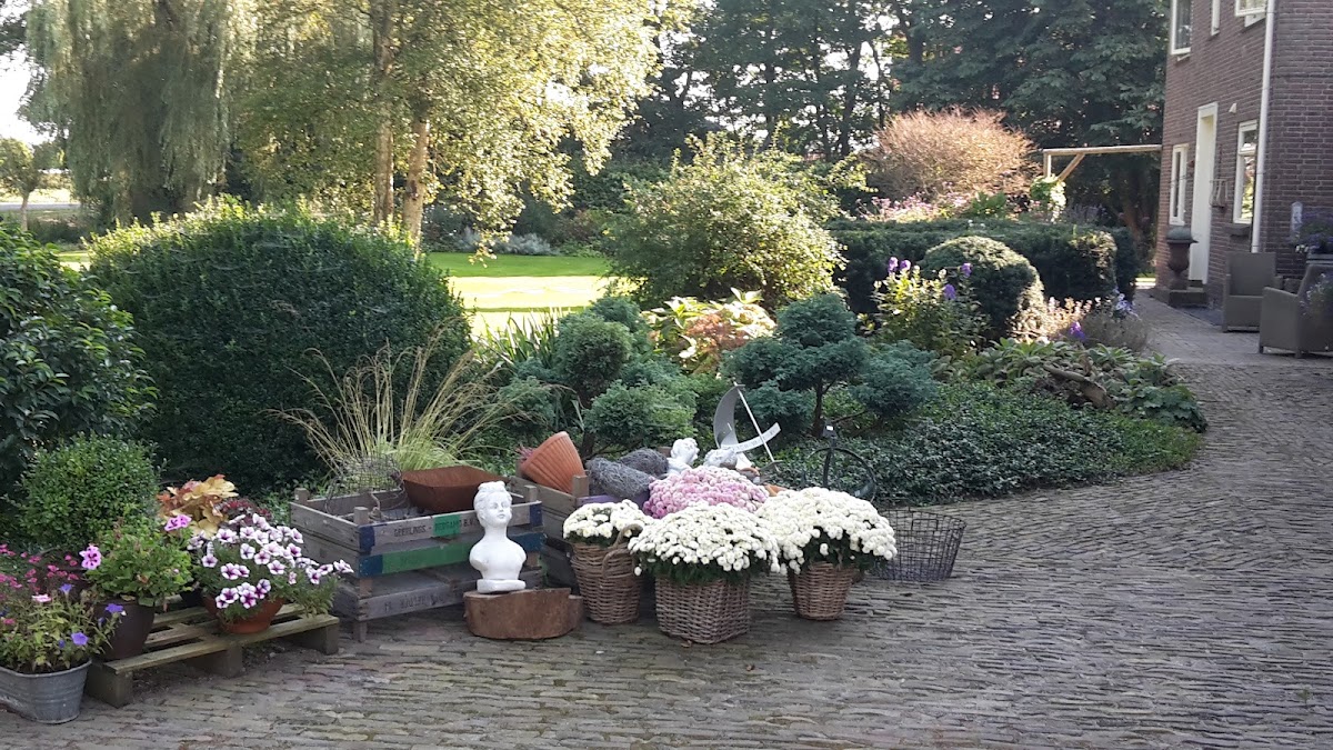 Foto van BloemenC Bloemboerderij in Marknesse