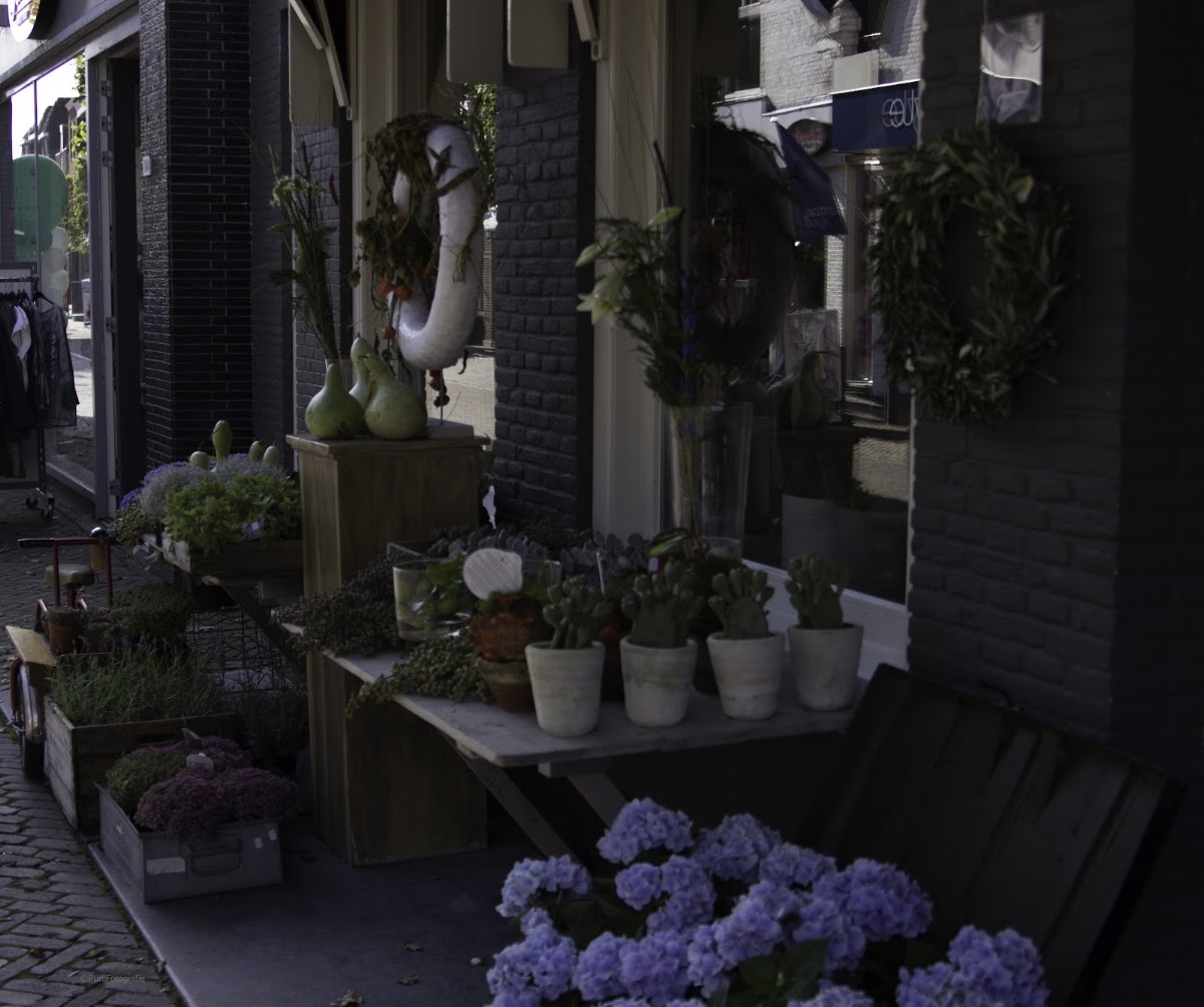 Foto van Bloemsierkunst in Joure