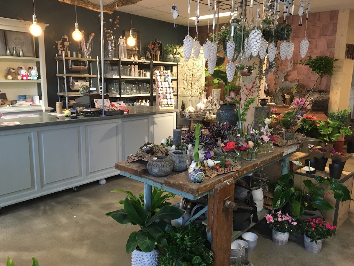 Foto van Rianne's bloem&kado in Wolvega