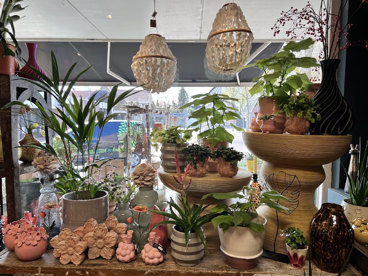 Foto van Rianne's bloem&kado in Wolvega