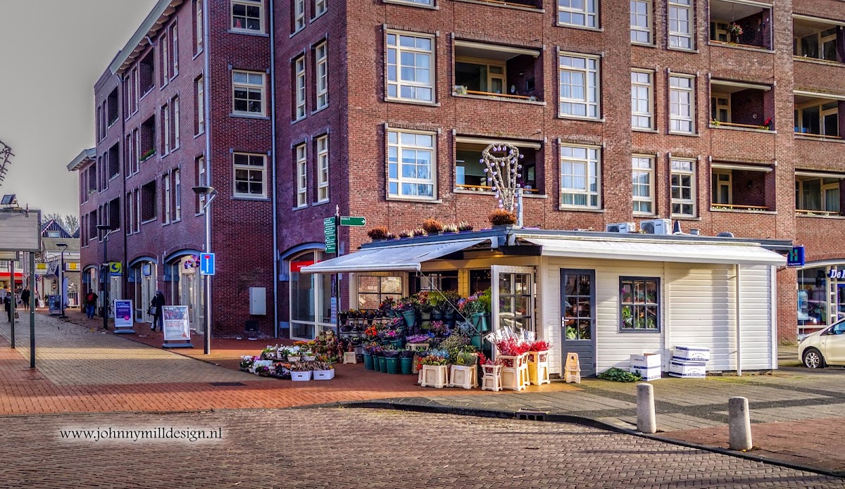 Foto van Bloemisterij Koolhaas vof in Drachten