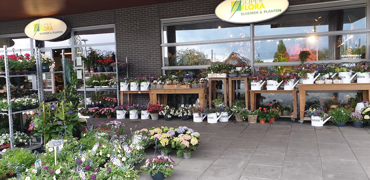 Superflora Drachten Noorderpoort