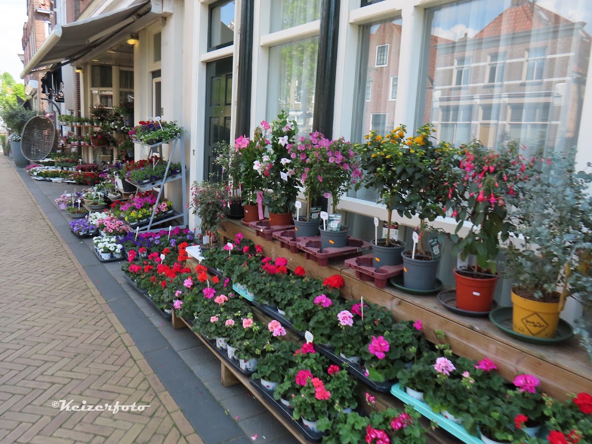 Ypma's Bloemenhandel