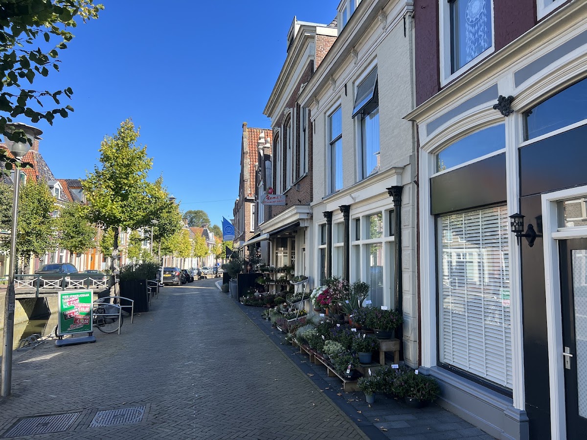 Foto van Ypma's Bloemenhandel in Franeker