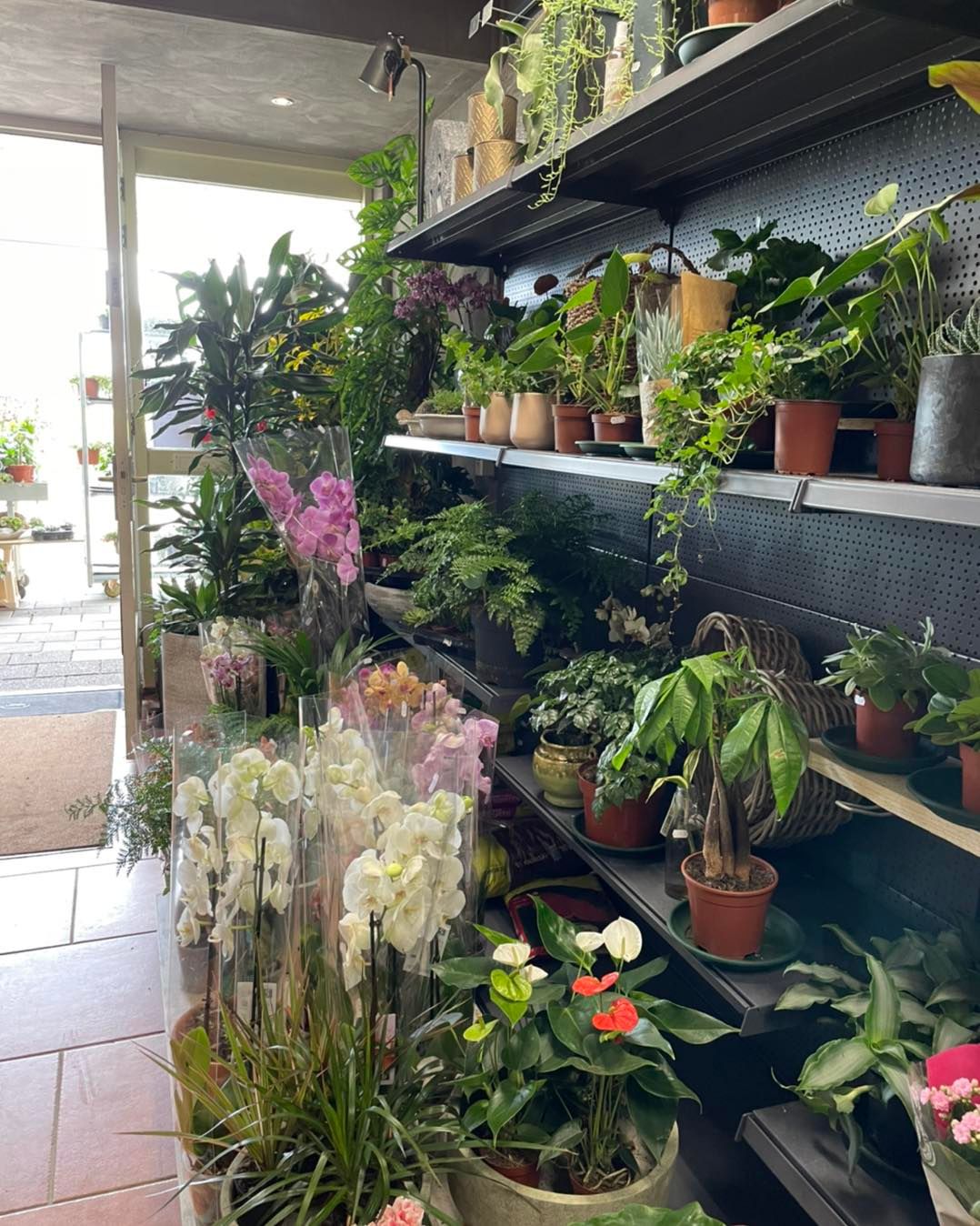 Foto van Vitamine Bloem in Harlingen