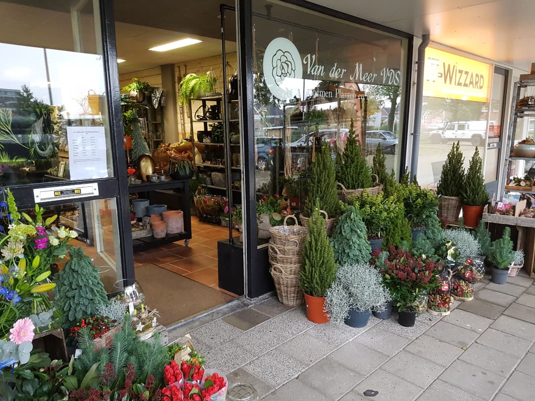 Foto van Vitamine Bloem in Harlingen