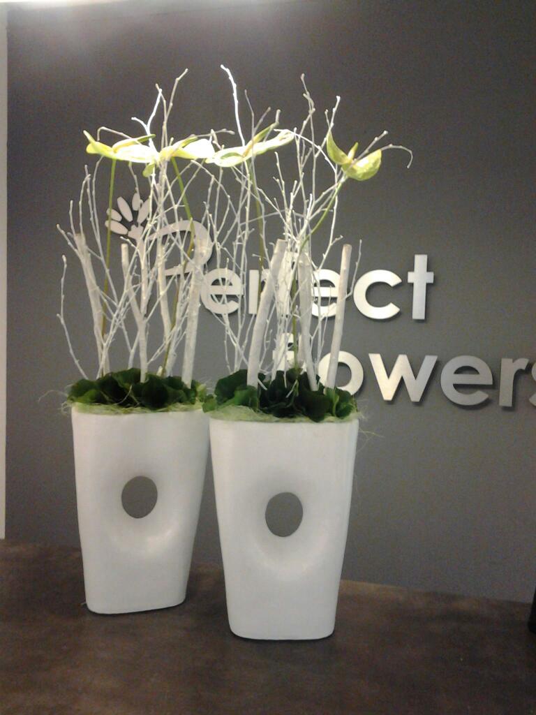 Foto van Perfect Flowers in Haulerwijk