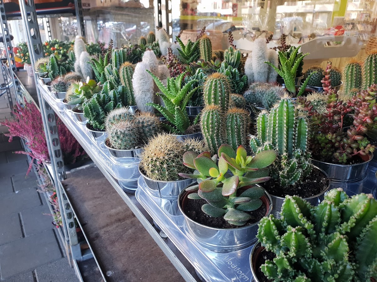 Foto van Mega's Bloemendhal in Apeldoorn