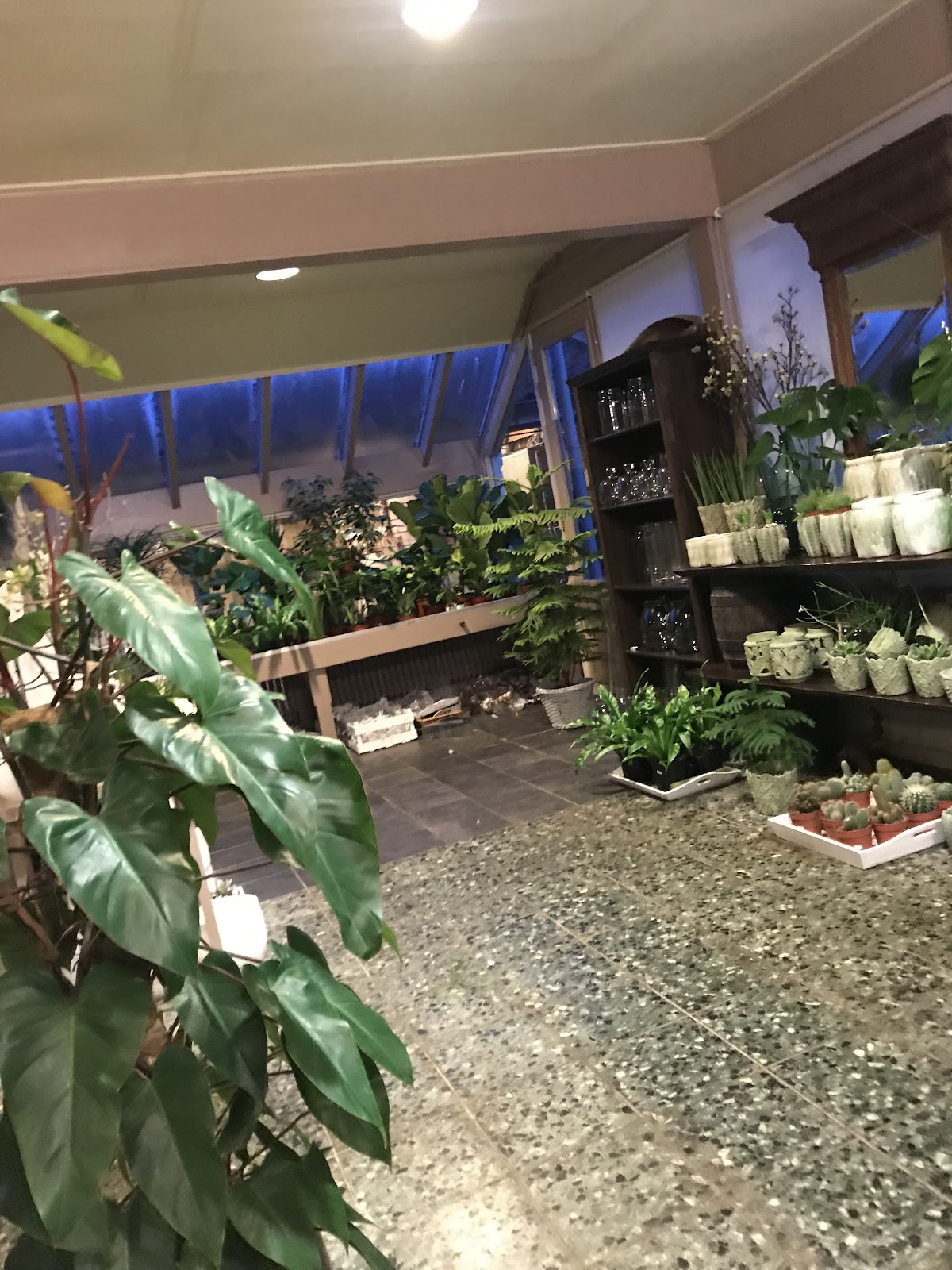 Foto van Bloemen Kroon in Sneek