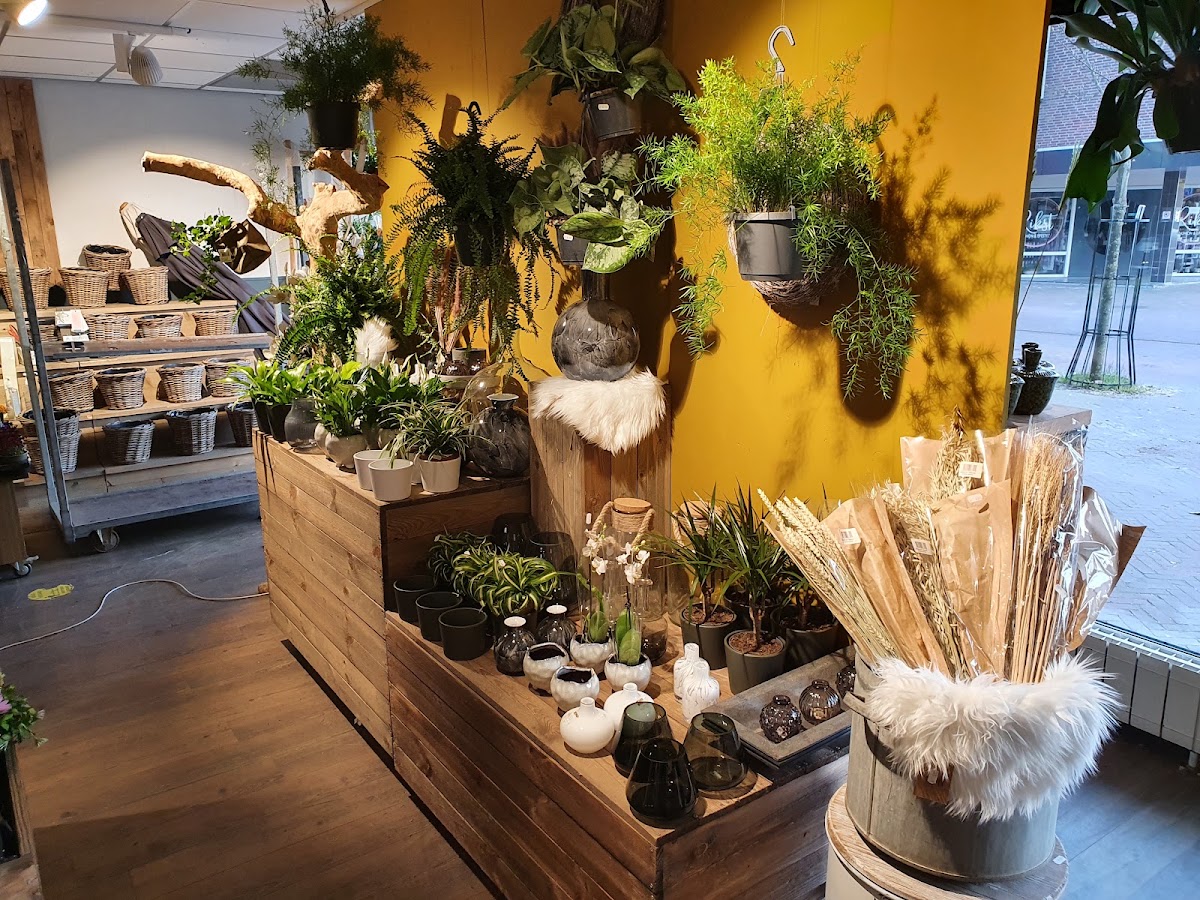 Foto van Bloemtique Buitenpost in Buitenpost