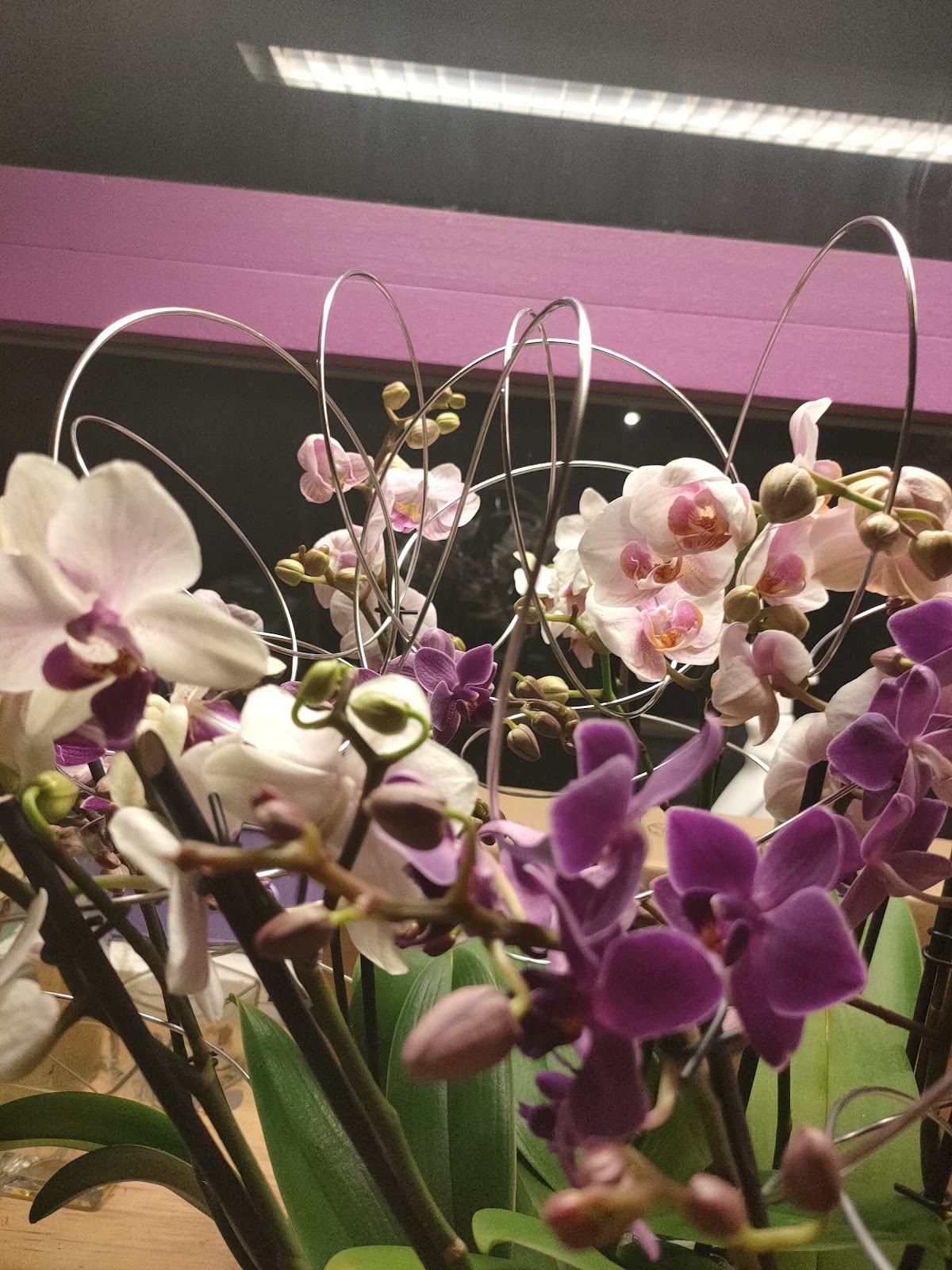 Foto van Passie Floral in Sint Annaparochie
