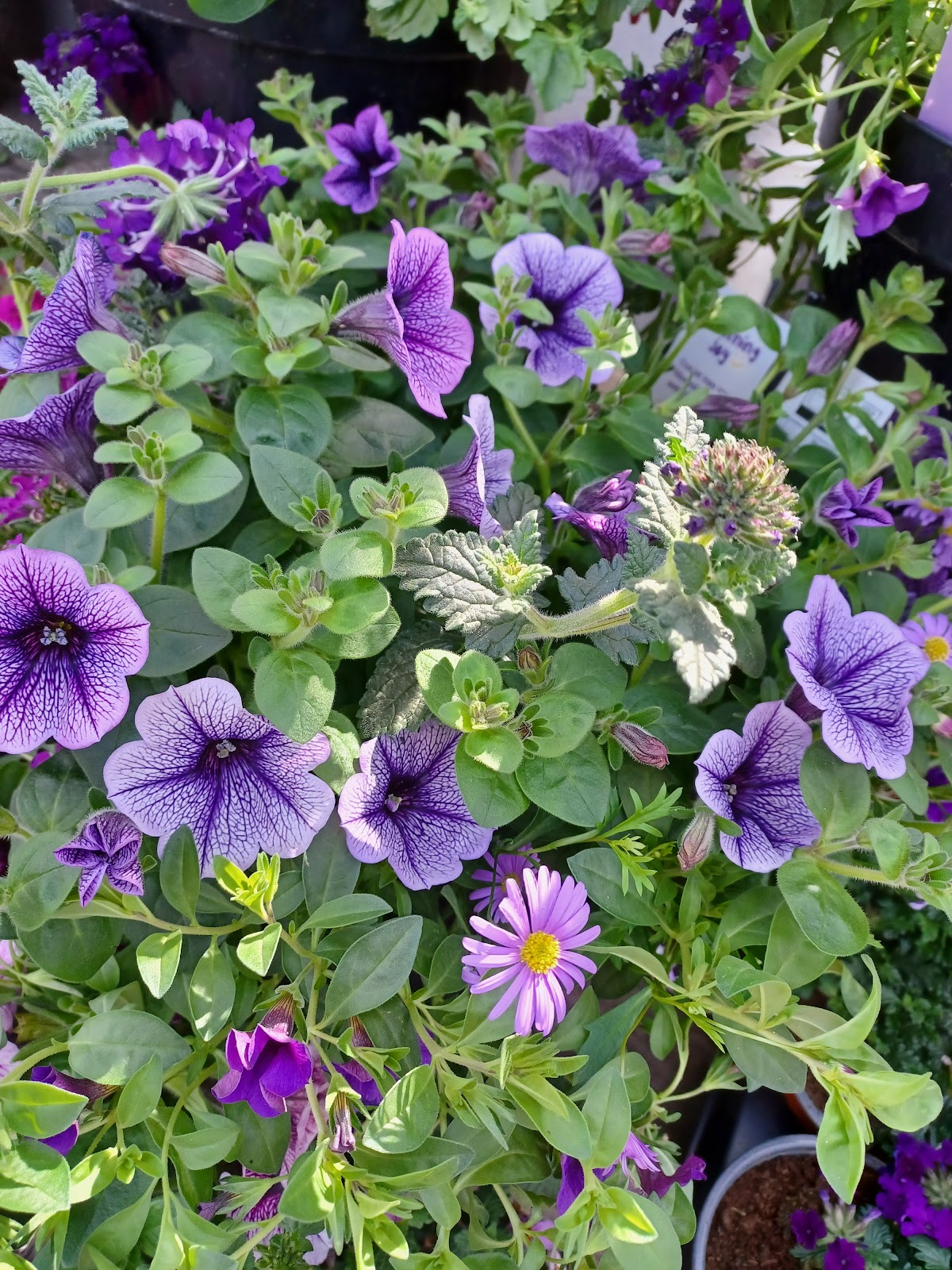 Foto van Flowers by Leentje in Surhuisterveen