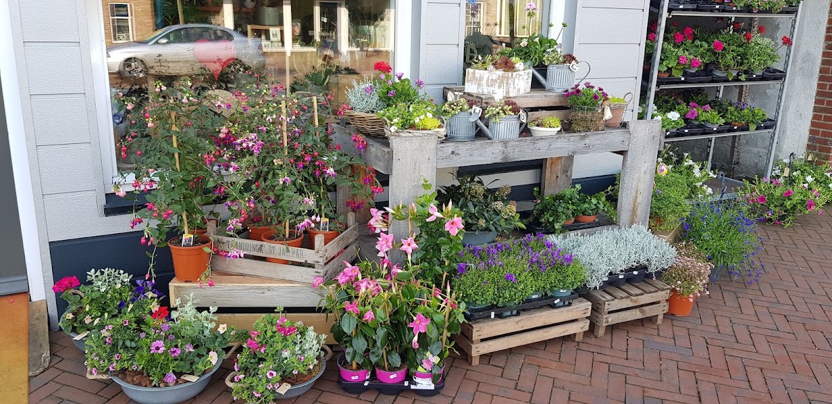 Foto van Flowers by Leentje in Surhuisterveen