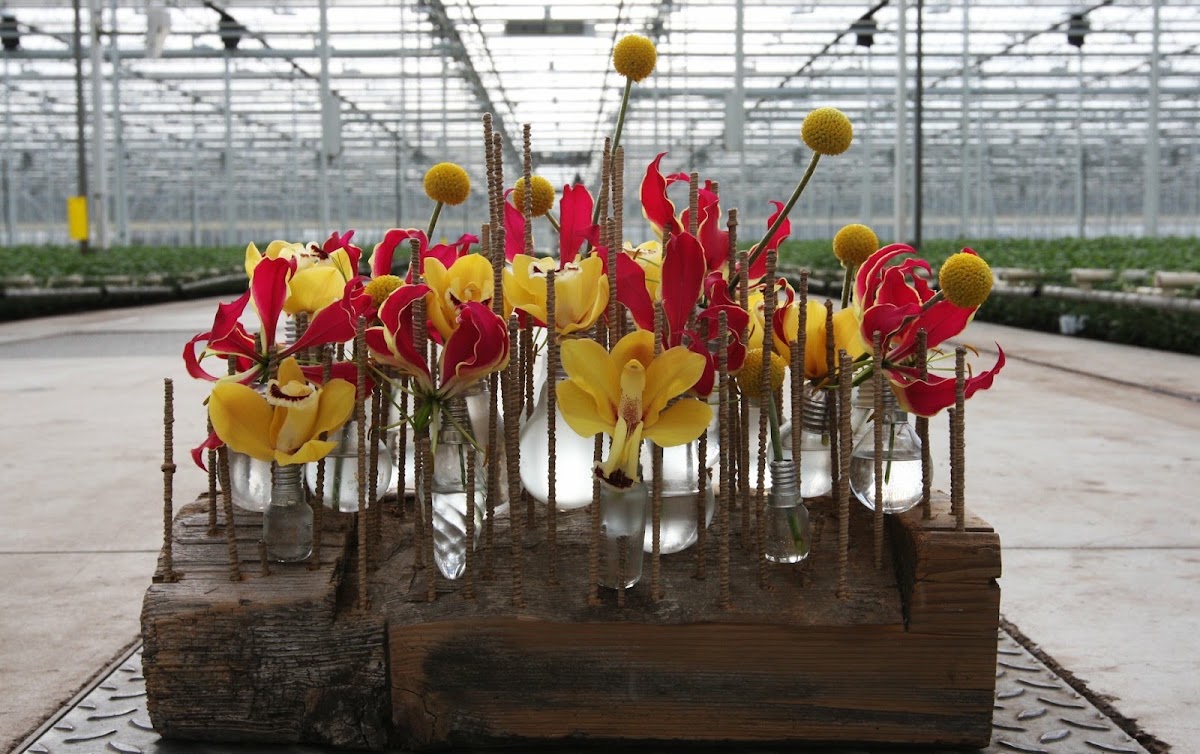Foto van Ilona Oostenveld Bloemstyling in Makkum