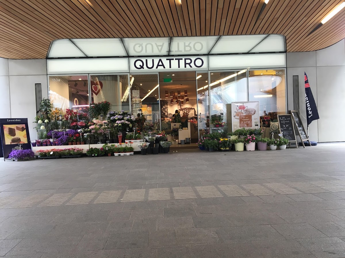 Quattro