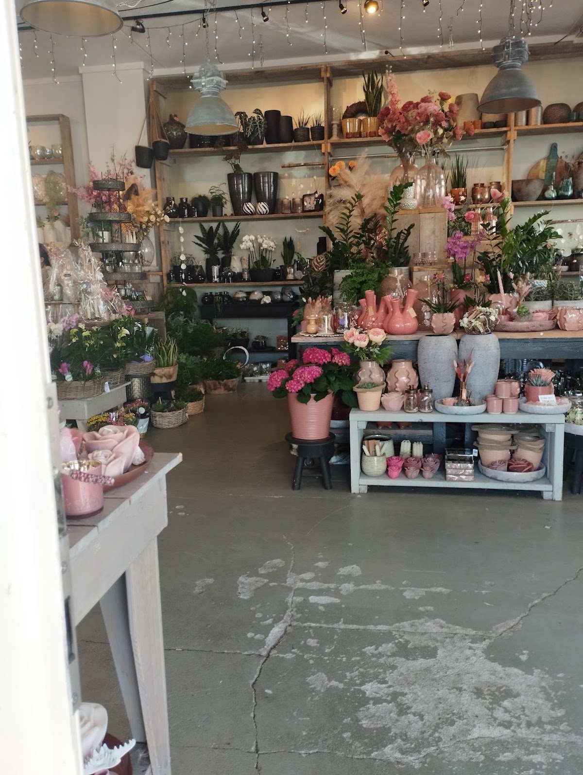 Foto van Bloem En Sfeer in 's-Heerenberg