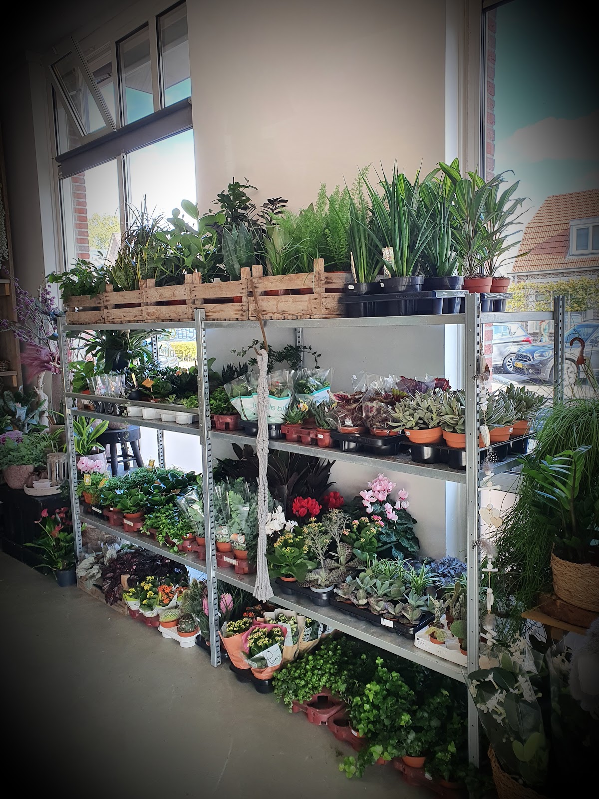 Foto van Bloem En Sfeer in 's-Heerenberg