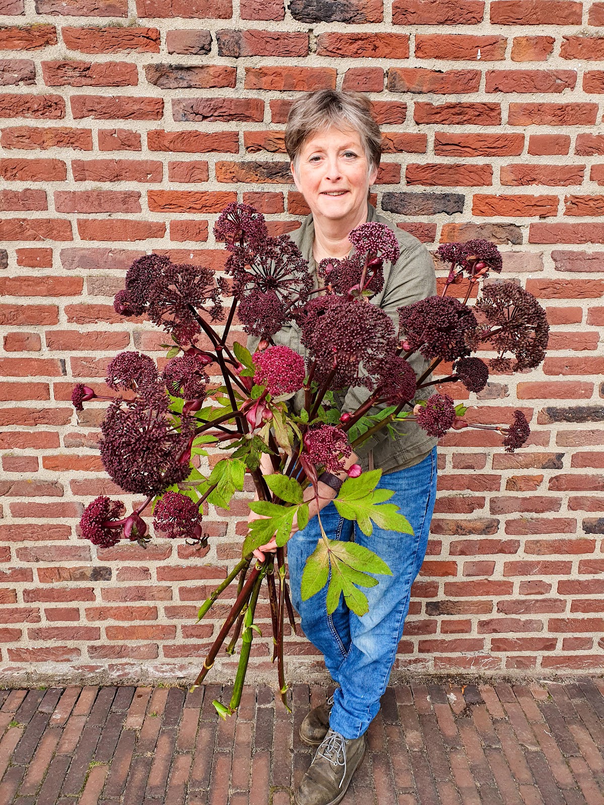 Foto van Fluitekruid in Nunspeet