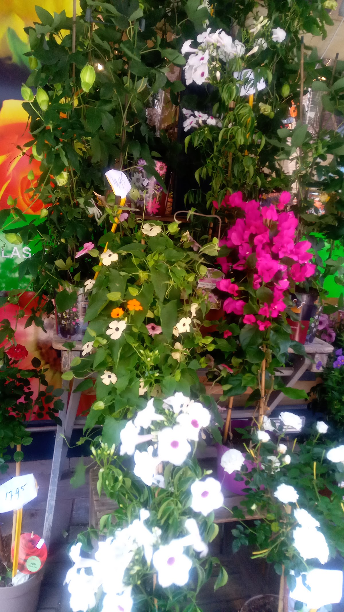 Foto van Bouquetterie De Eglantier in Apeldoorn