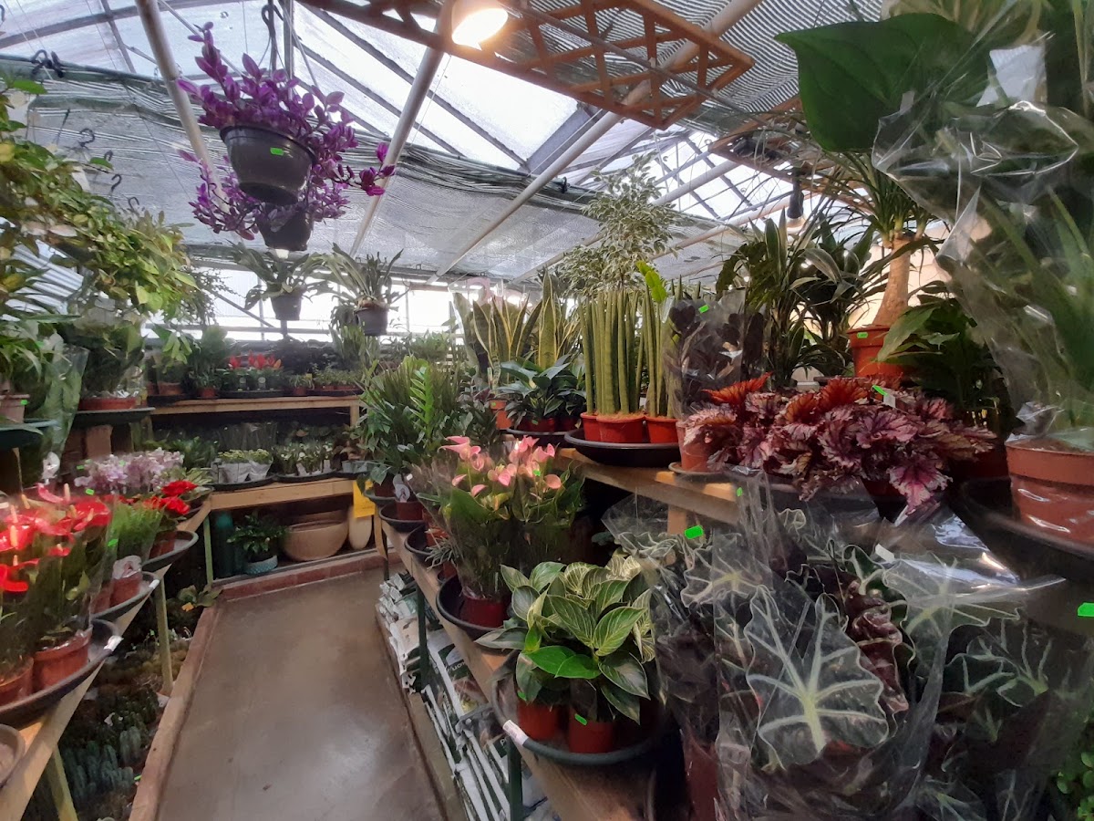 Bloemenmagazijn Margriet