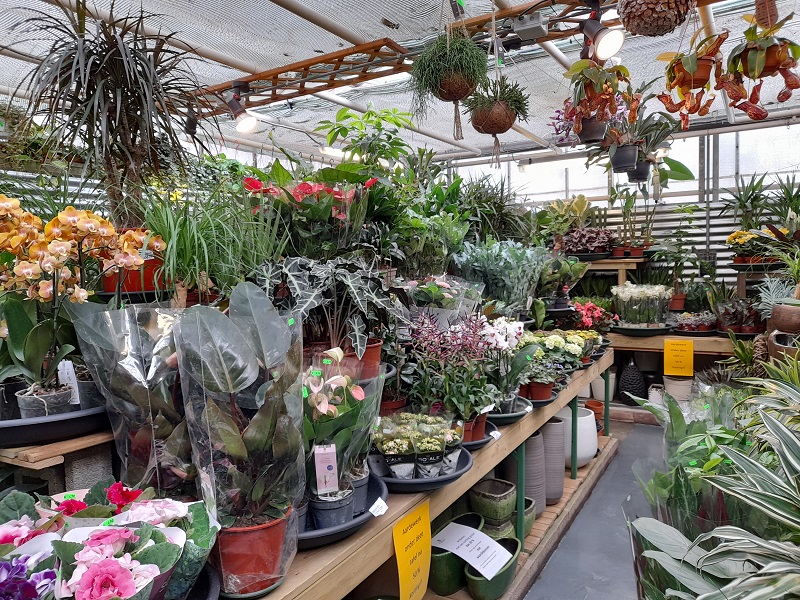 Foto van Bloemenmagazijn Margriet in Apeldoorn
