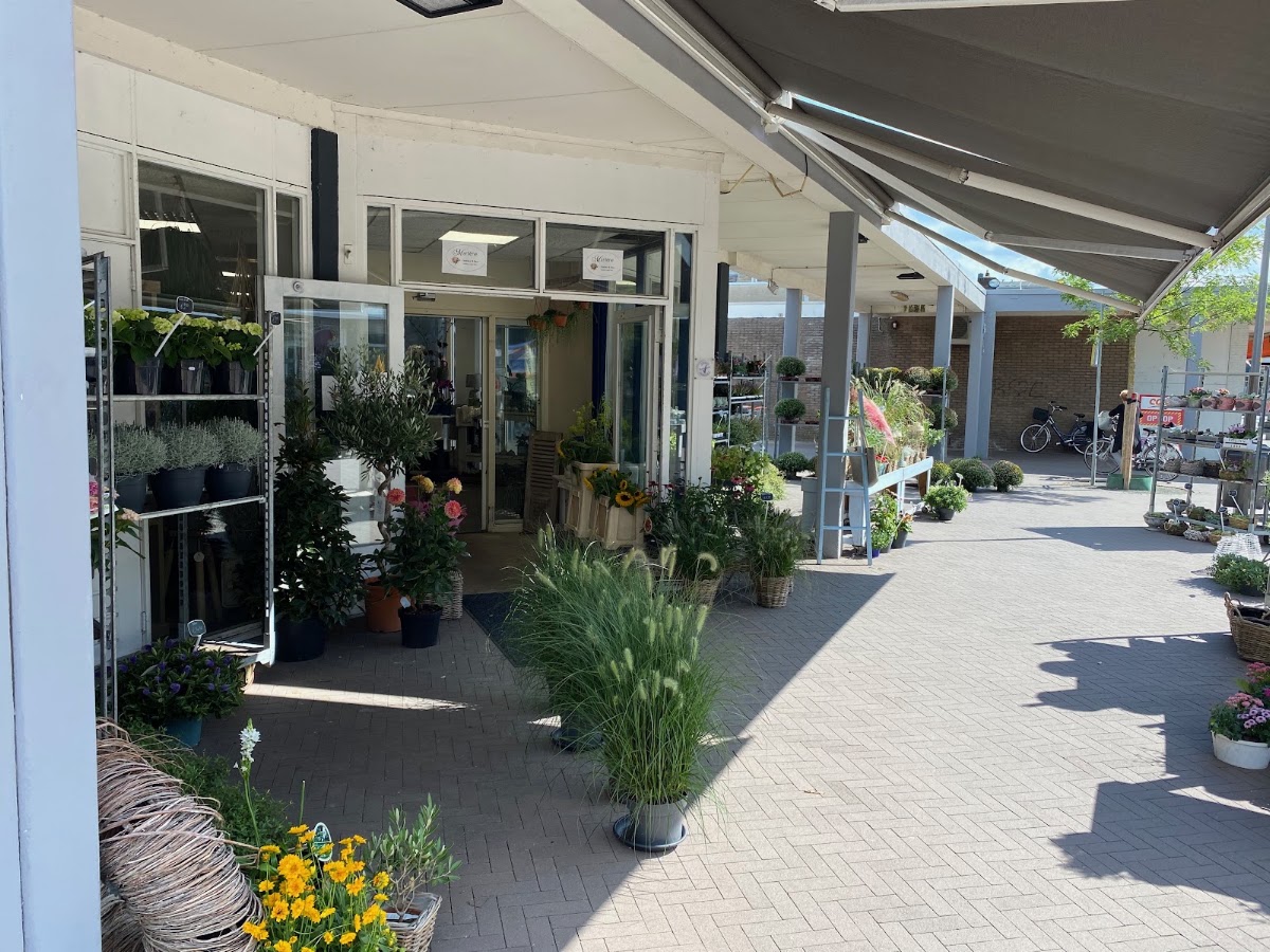 Bloemetje Bezorgen Apeldoorn