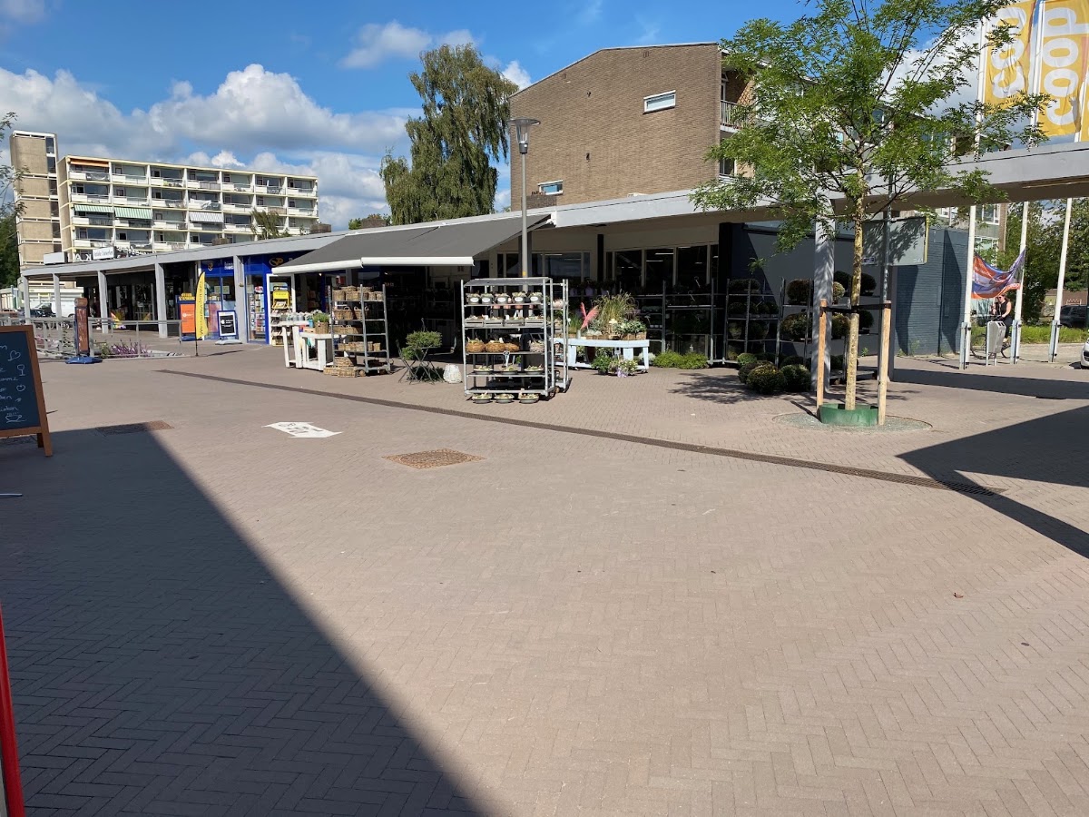 Foto van Bloemetje Bezorgen Apeldoorn in Apeldoorn
