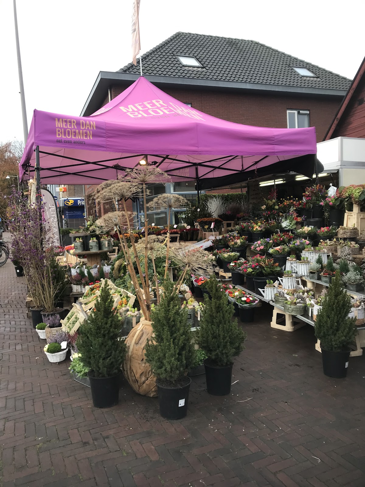Foto van De croon plants in Apeldoorn