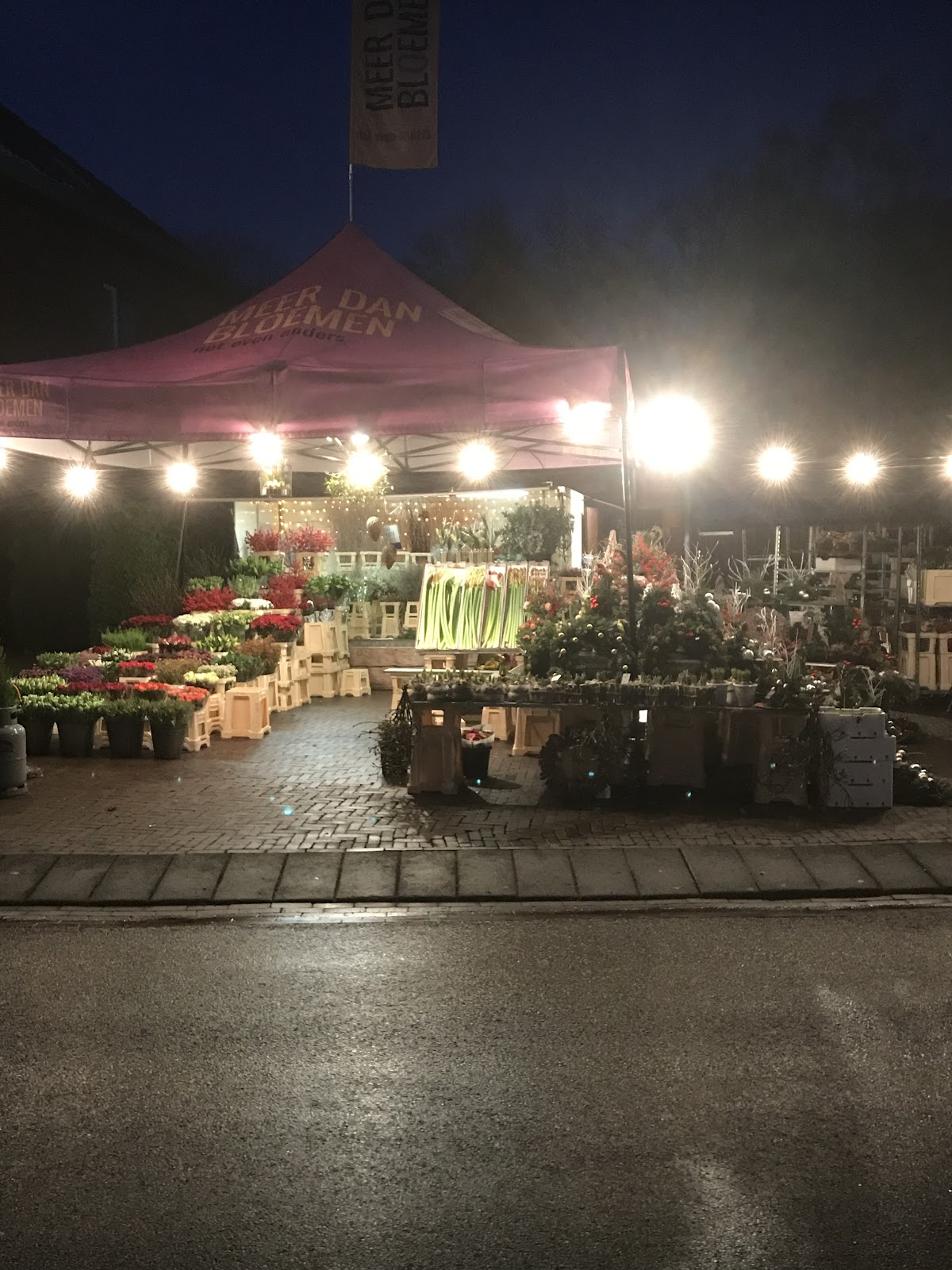 Foto van De croon plants in Apeldoorn