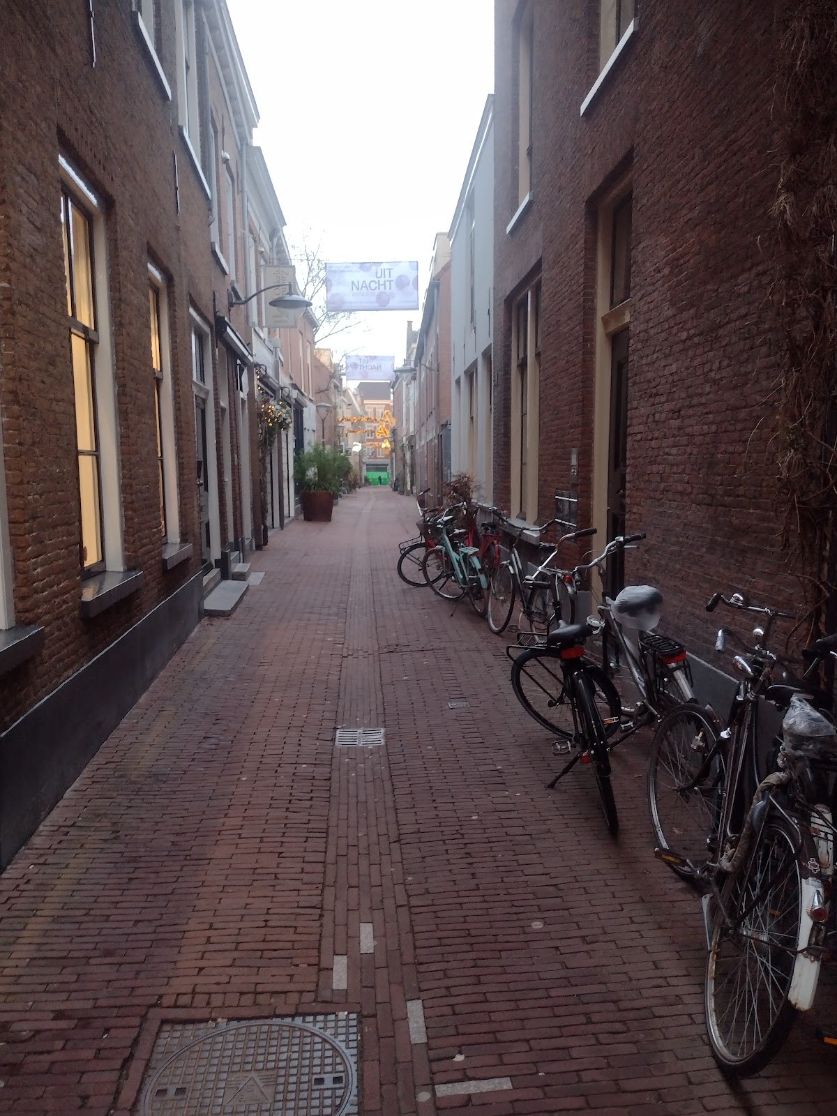 Foto van Flower me in Arnhem